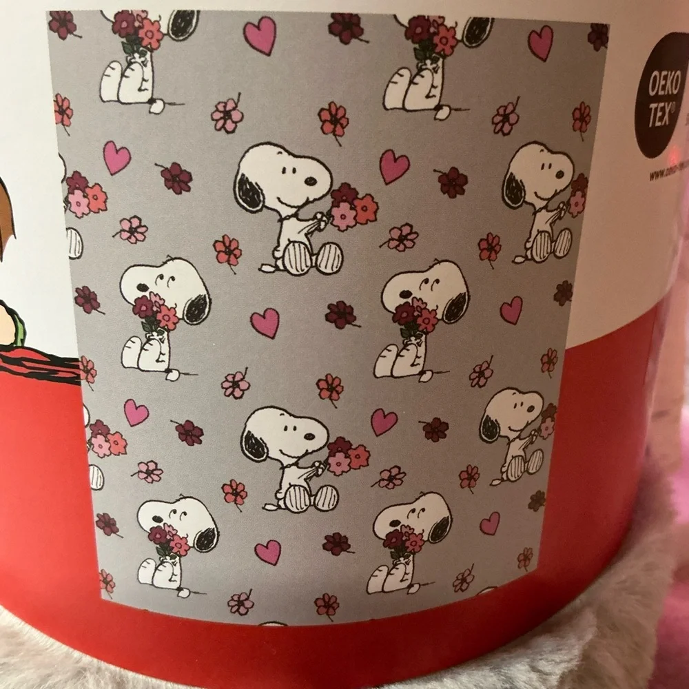 Peanuts nwt grey